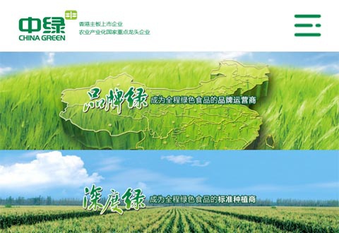 中绿集团